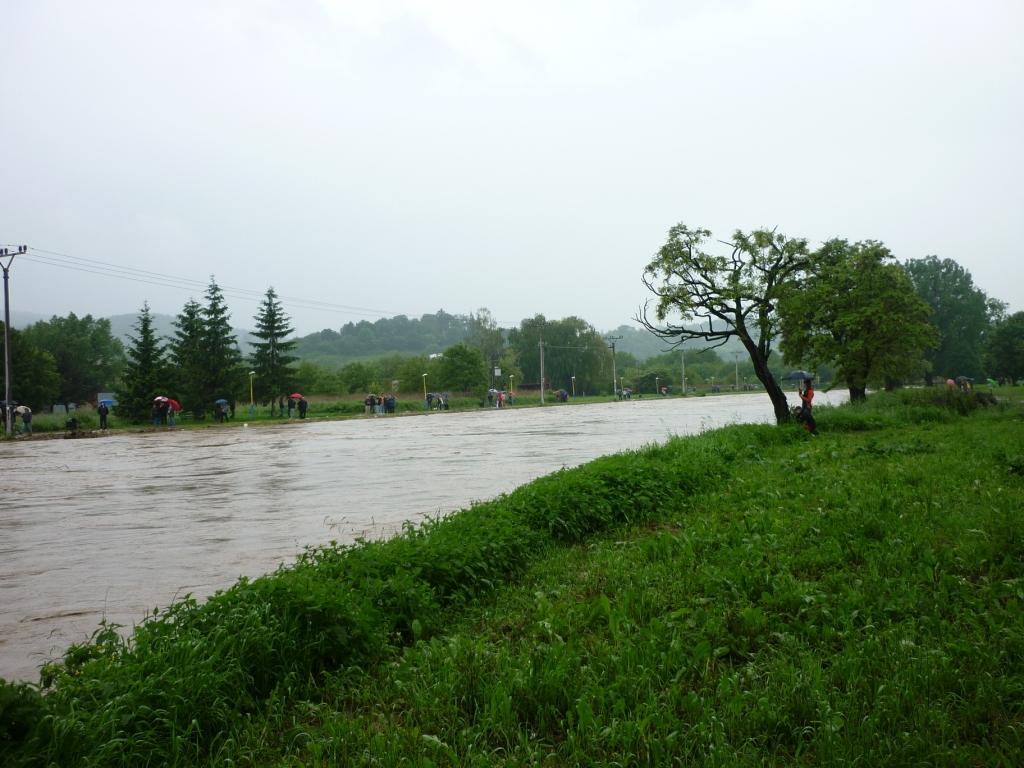 P1010964.JPG